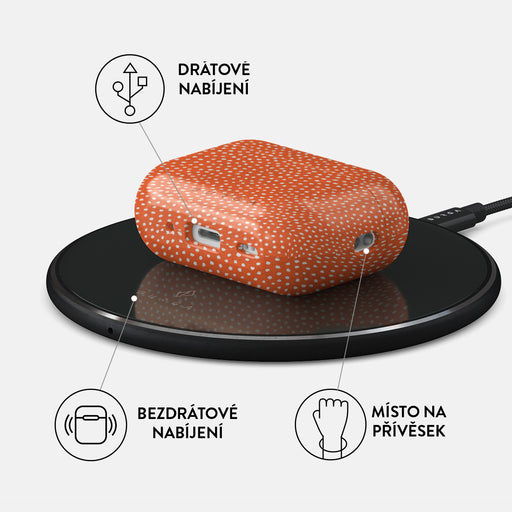 Vintage Edition - AirPods Pro 2 Pouzdro 3