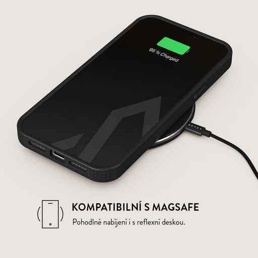 Frozen - iPhone 13 Pro Max Kryt 8
