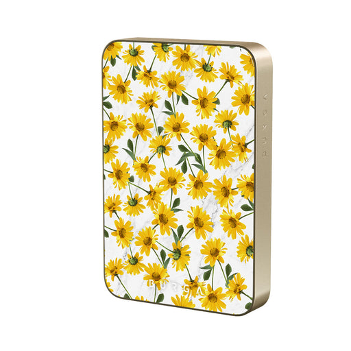 BA_07MS_MagPbank10K-GO