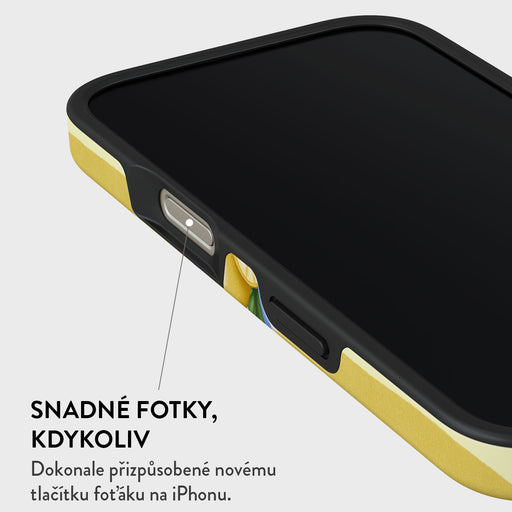 Frizzante - iPhone 16 Pro Max Kryt 5