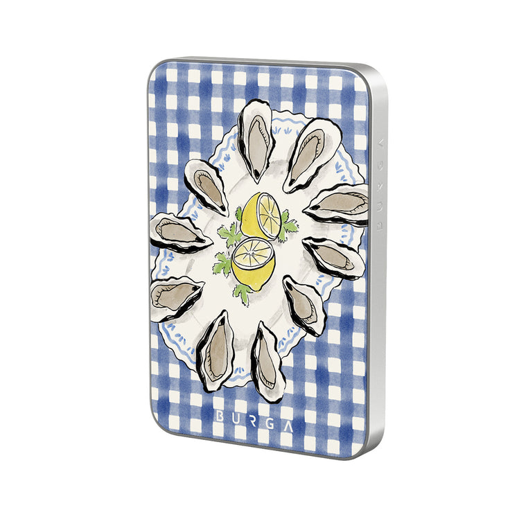 CM_10MS_MagPbank5K-SI