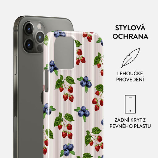 Picnic Basket - iPhone 12 Pro Max Kryt 2