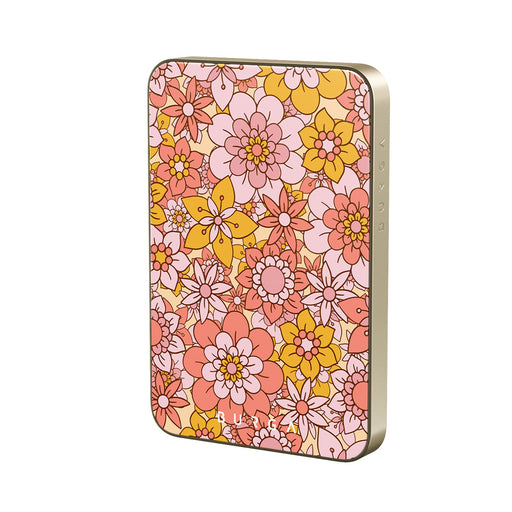 DV_01MS_MagPbank5K-GO