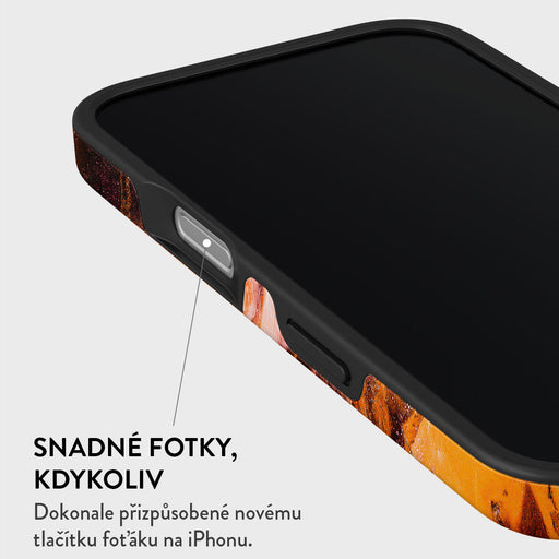 Pumpkin Spice - iPhone 16 Kryt 5