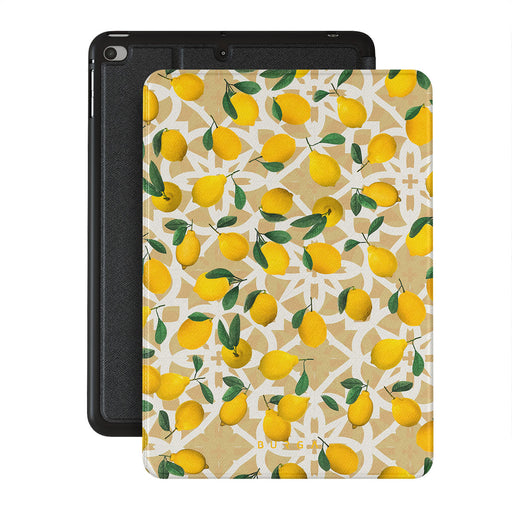 LL_01IP_iPAD_MINI_7.9