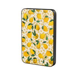 5,000 mAh