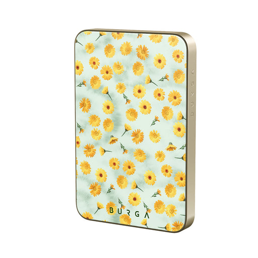 RL_02MS_MagPbank5K-GO