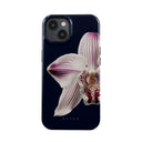 Nectar - iPhone 13 Kryt 5