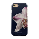 Nectar - iPhone SE (2022) Kryt