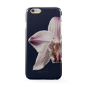 Nectar - iPhone 6 / 6S Kryt 1