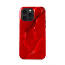 Wild Blaze - iPhone 15 Pro Max Kryt 5