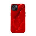 Wild Blaze - iPhone 13 Mini Kryt 5