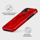 Wild Blaze - iPhone 13 Mini Kryt 7
