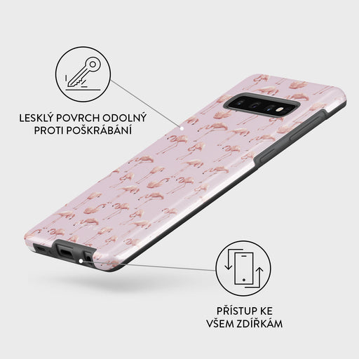 Nostalgic Pink - Samsung Galaxy S10 4G Kryt 3