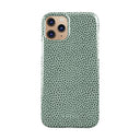 Mint Gelato - iPhone 11 Pro Kryt